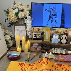 宠物家长客户见证