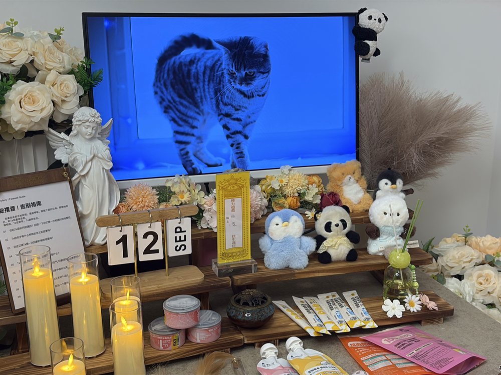 宠物骨灰交付与纪念品